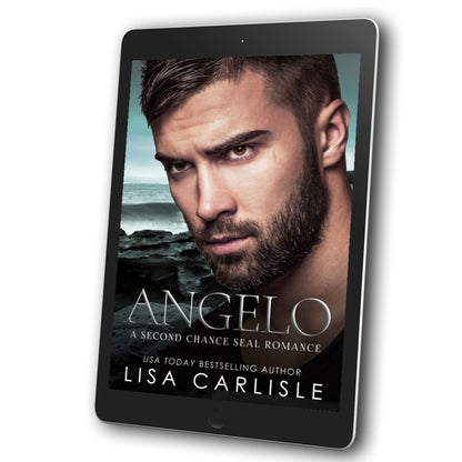 Angelo book cover